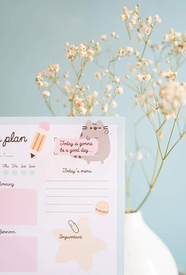 A5 Desk Pad with Daily, Weekly Planner and Monthly Calendar (Assorted colors)