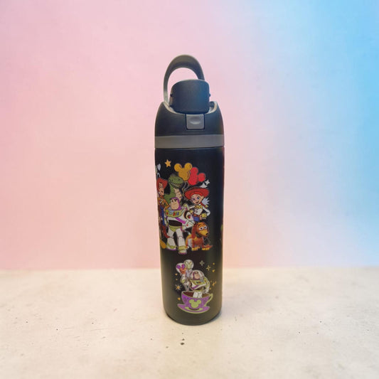 Disney Pixar Character Water Bottle - 850 ML