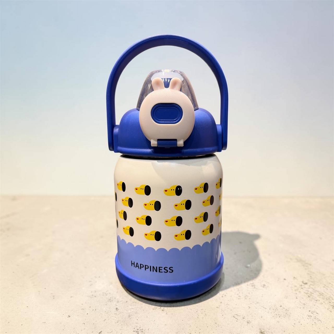 Pinteresty cute Insulated Water Bottle with Carry Handle