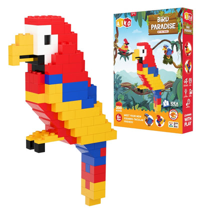 Bird Paradise | Build Your Own Bird Garden