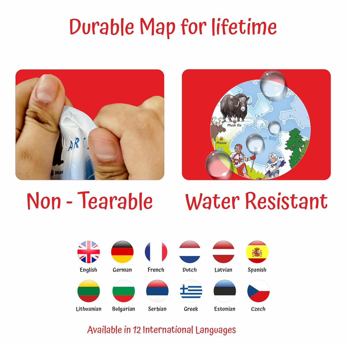 Geografika Illustrated Explored the World Map Game & 48 Cards and 1 Dice