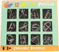 Stainless Steel Metal Puzzle Set of 12 Puzzles (12 Pieces)