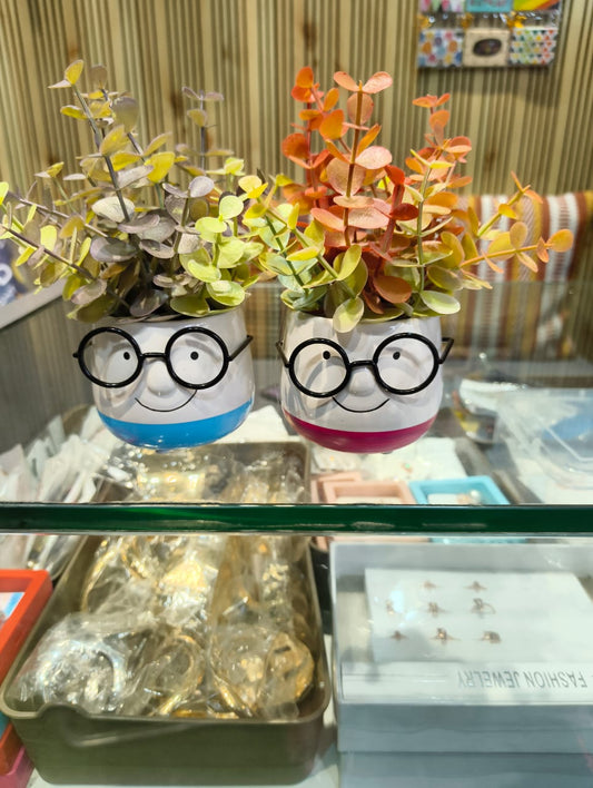 Cute Chashma Pot (Pack of 1) (Assorted Colours)