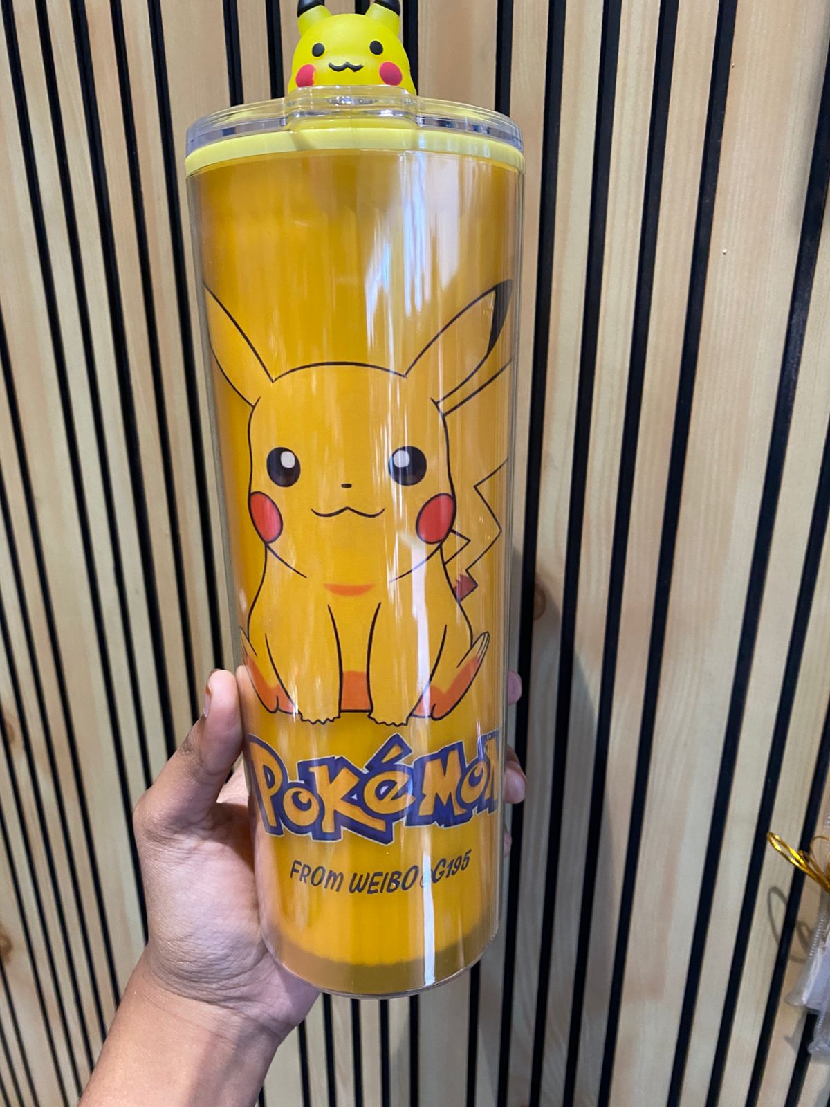 Pokemon Theme Plastic Sipper with 3D Top Lid And Straw For Kids